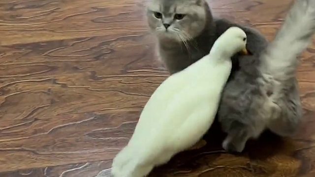 胜男：来 接受社会的毒打