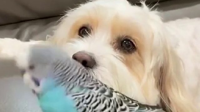 说话能力还有哪些没有上榜的吗