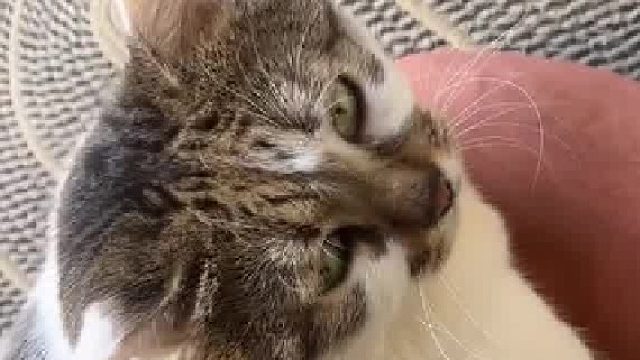 不去养猪可惜了