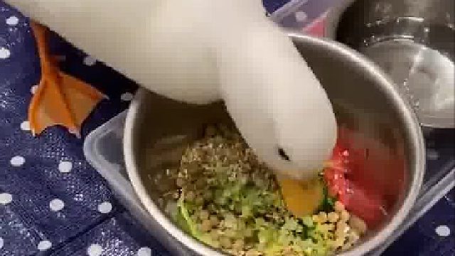 每次上饭的时候