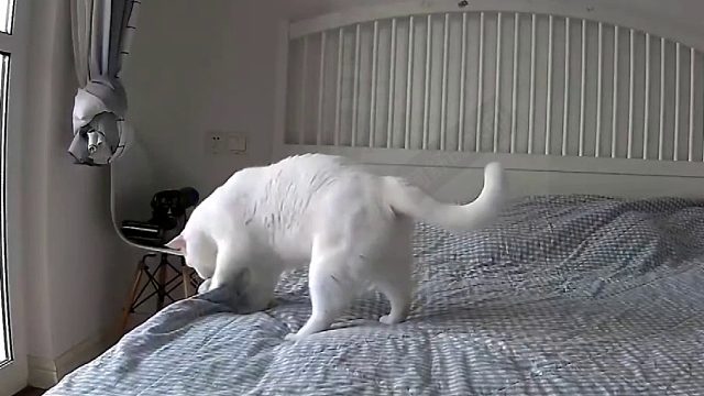 这个动作应该是全国统一吧