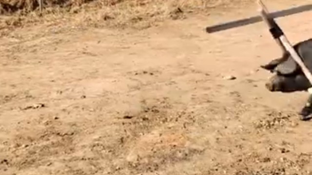 二师兄的日常工作