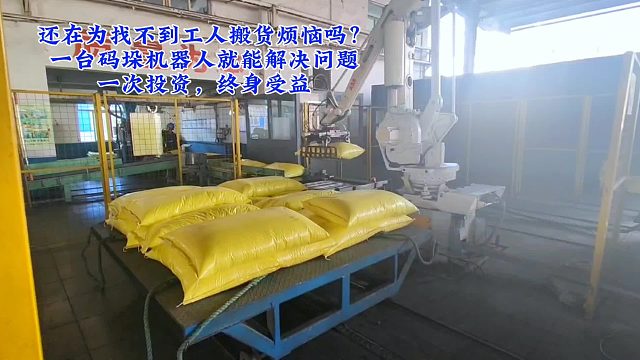 还在为找不到工人烦恼吗？码垛机器人一次投资，终身受益