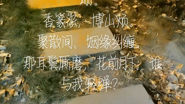 寿楼春”雨送黄昏花易落”