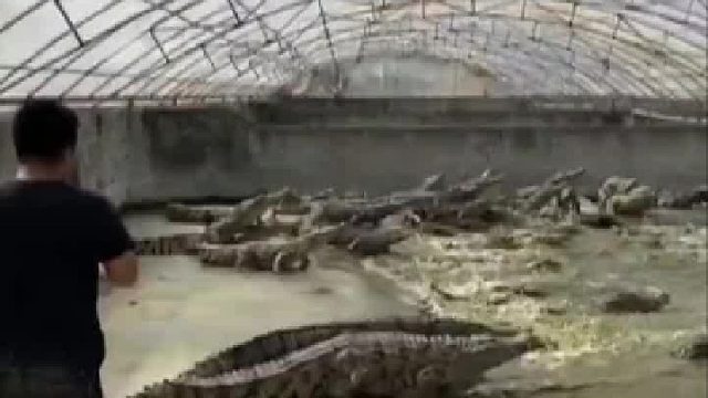 这个男人要是滑倒掉进池塘里怎么办？