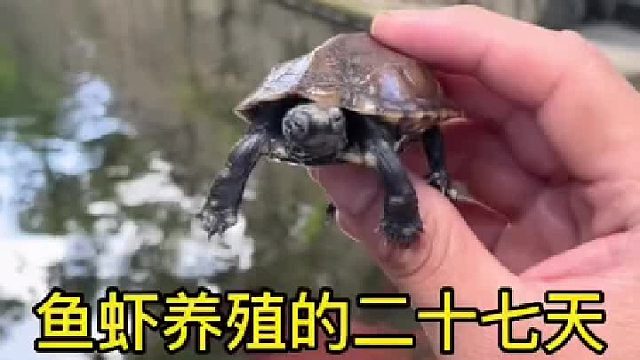 今天我和表弟一起捕捞