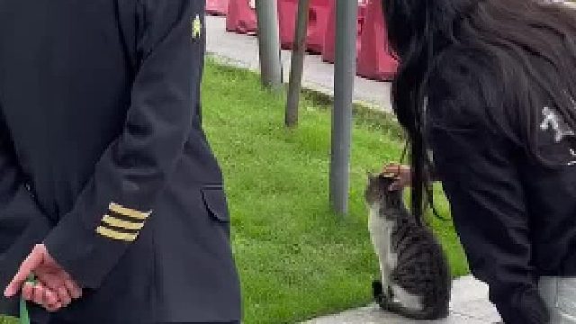 保安叔叔笑咪咪的抱着它 很自豪的样子让我摸摸 ​