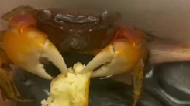 我的晚餐在吃我的早餐