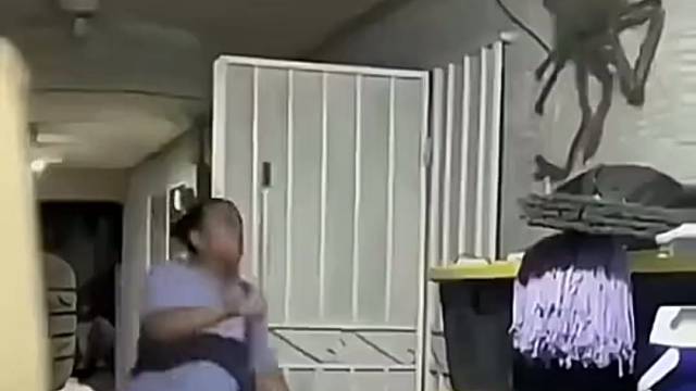 这是蜘蛛精吧，太吓人了