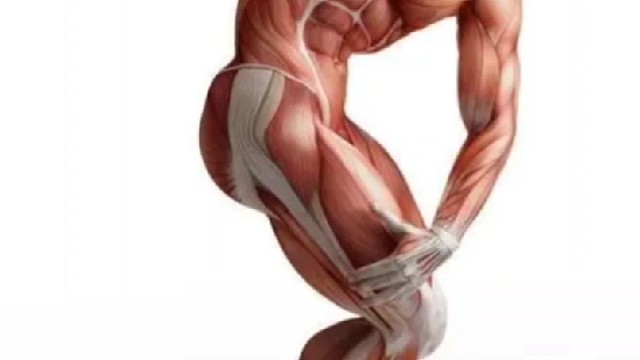 了解植物神经紊乱吗？