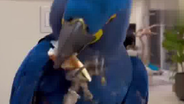 网友分享鹦鹉熟练剥蟹壳，鹦鹉：鸟鸟我呀 吃大螃蟹啦