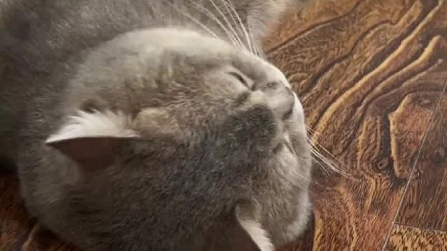 好好吃：你不要给我哇哇叫