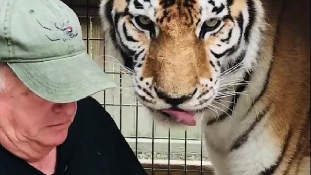 你好歹嚼一下啊，哪怕一下啊