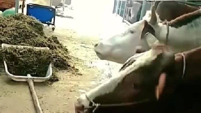 谁的智慧不是为了吃的更好？