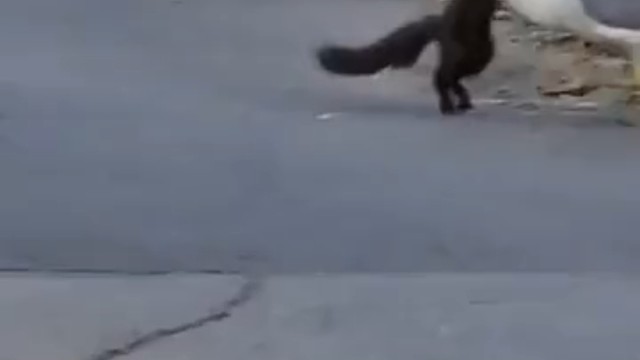 所有人都关心你吃不吃得下，只有我关心你飞得高不高