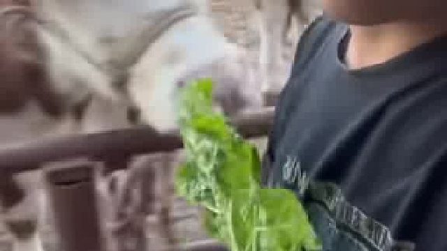 后宫佳丽三千你却独宠一牛