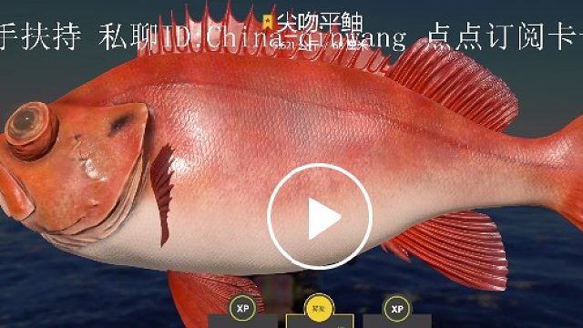 新手扶持  天天坐牢我的星哪去了-片段2