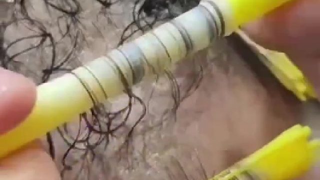 给虱子整过山车呢？