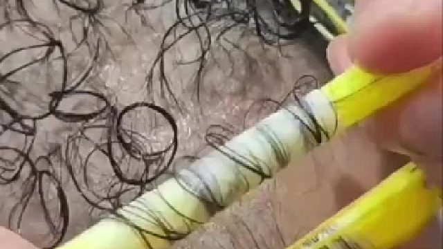 给虱子整过山车呢？