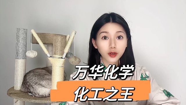 万华化学：中国化工的骄傲