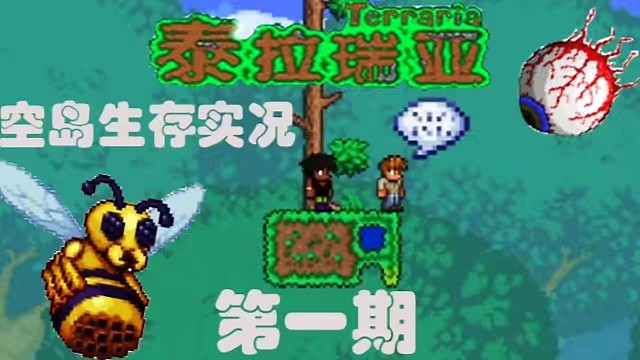 第1集｜‖第一期‖泰拉瑞亞空島生存