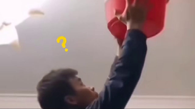 男子用水桶抓蜘蛛，结果水桶里没看到