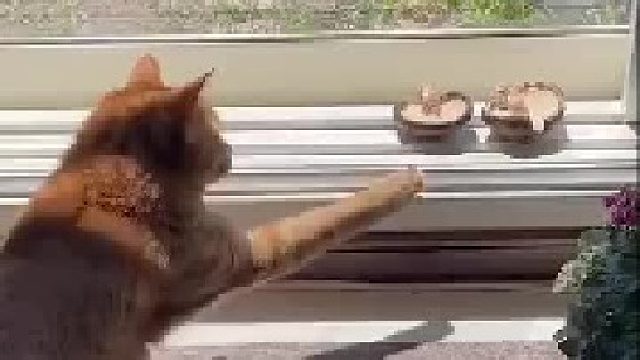 爱是试探又收回的手