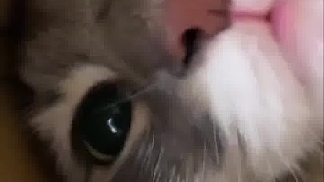 你凝视着深渊时 深渊也在凝视着你