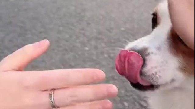 遇到了不开心的事怎么办