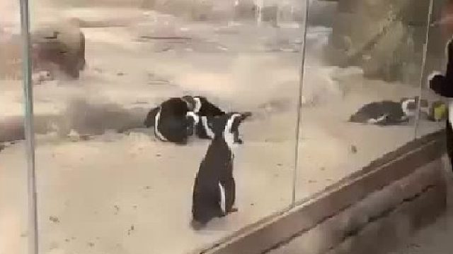 遇到了一个穿同款的人类