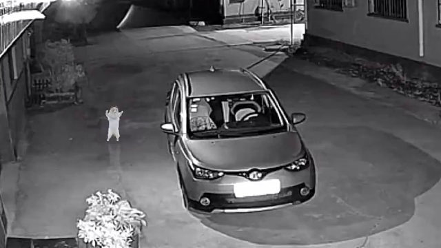 监控拍到神奇的画面啊