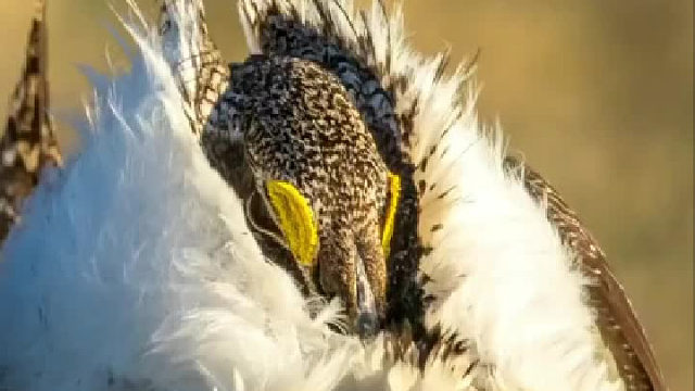 这不得买件内衣