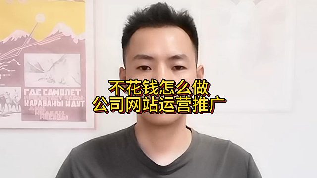 不花钱怎么做公司网站运营推广