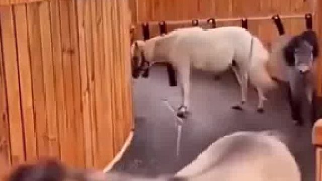 只有低头才不用走那么多重复的路。