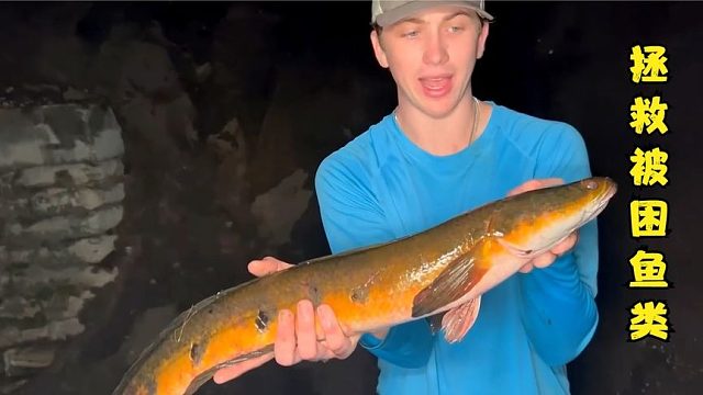 荒野捕鱼：外国小哥在恶臭的下水道中拯救各种鱼类！