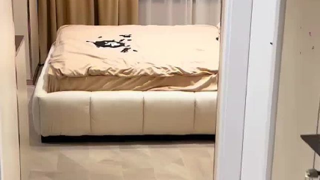 猫：你的床怎么那么大！！