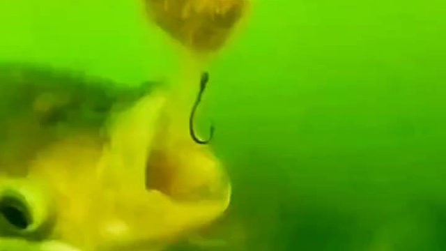 在死亡边沿疯狂试探