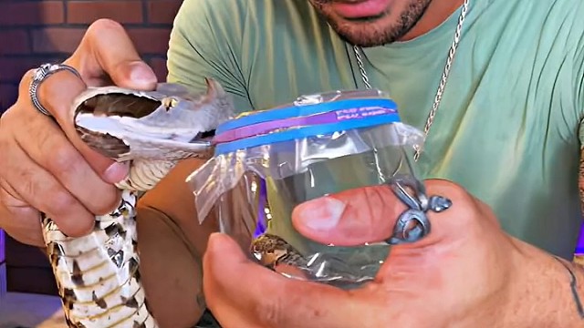 这百香果汁哪里买[爱慕]