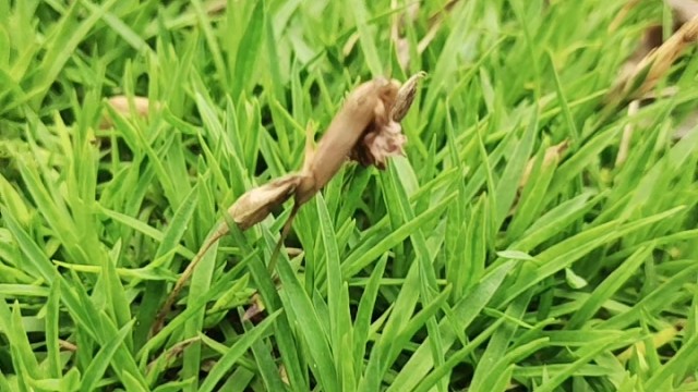 看到留个关注吧