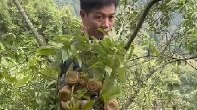 弱弱的问一句：这是啥？