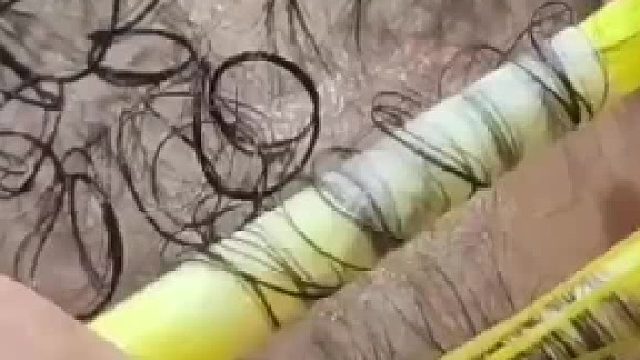 给虱子整过山车呢？