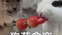 我真的受不了啦！#搞笑 #離譜 #變裝 #娛樂(lè)評(píng)論大賞
