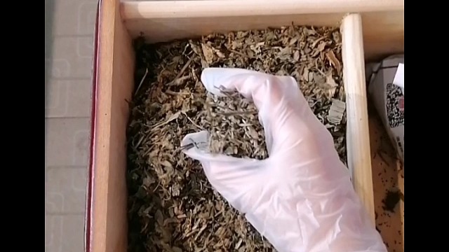 手抖？早发现早治疗早恢复