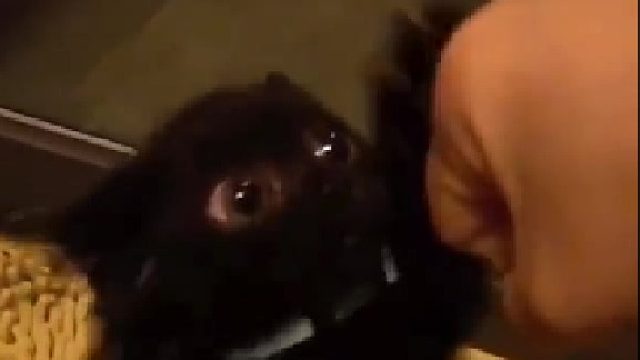 煤球精打人啦！！！