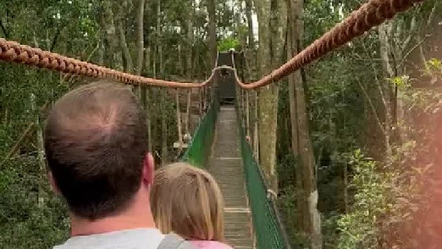 到你头顶上方时，他收了收脚