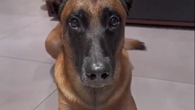 开心从搞笑开始