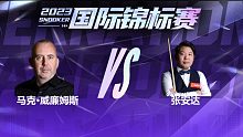 马克·威廉姆斯VS张安达 2023国锦赛 清流