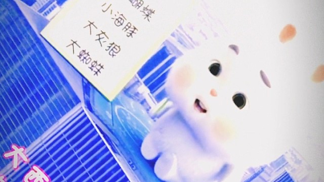 教室里拆开了一包零食就像人民广场喂鸽子，学校里带了一包面纸就好比城市广场发传单。