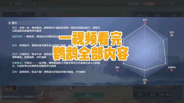 这鹦鹉还行 比想象中好多了！