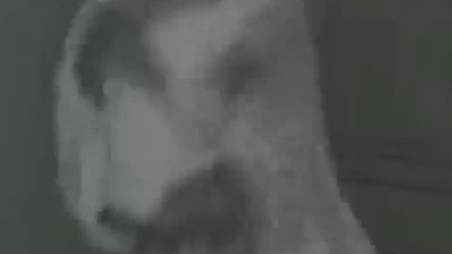 爸爸记错孩子吃奶时间，六个月宝宝急坏了，在妈妈怀里开口说：“我没吃”